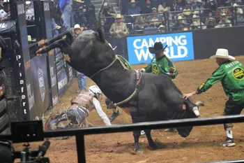 Bull rider falls off bull